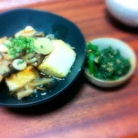 Snapdishの料理写真:揚げ出し豆腐とほうれん草の胡麻味噌和え。|おみょさん