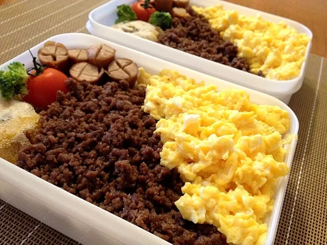 今日のお弁当 2色丼 自分＆姉用|りすなさん