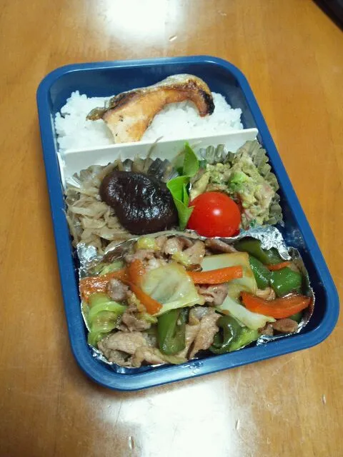 今日のお弁当。|カテキンさん