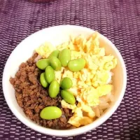 Snapdishの料理写真:そぼろ丼|yuhakanariさん