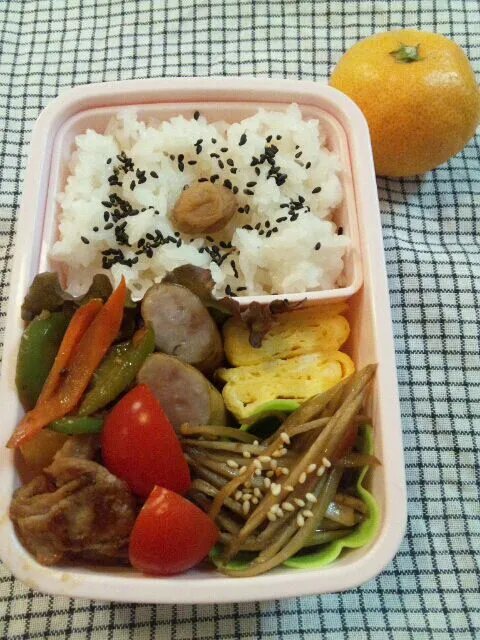 11/7 お弁当|まみりんさん