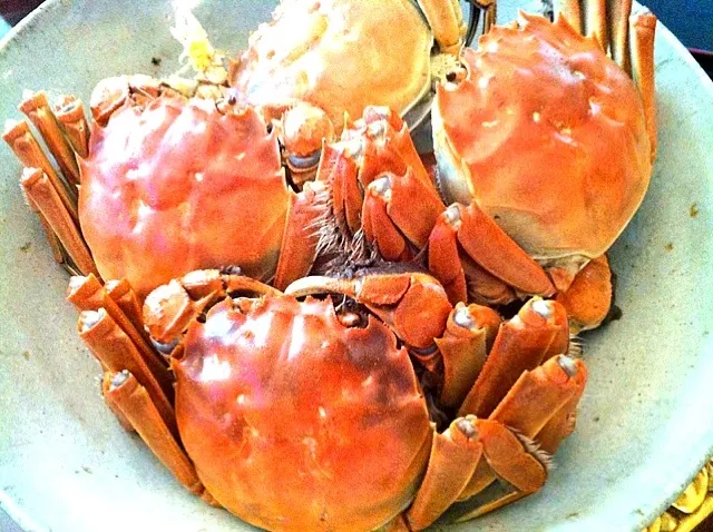 Hairy crabs from Shanghai|Soiさん