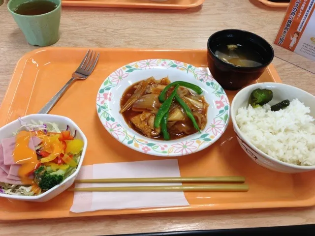 ささ身と野菜の広東風ケチャップ炒め|すかラインさん