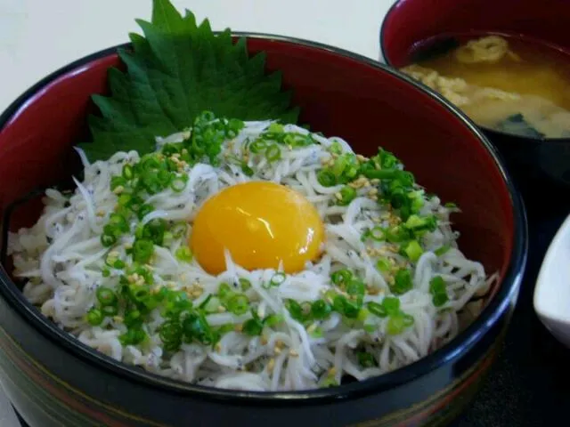 しらす丼|荘司清隆さん