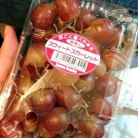 Snapdishの料理写真:買っただけw|ゆきさん