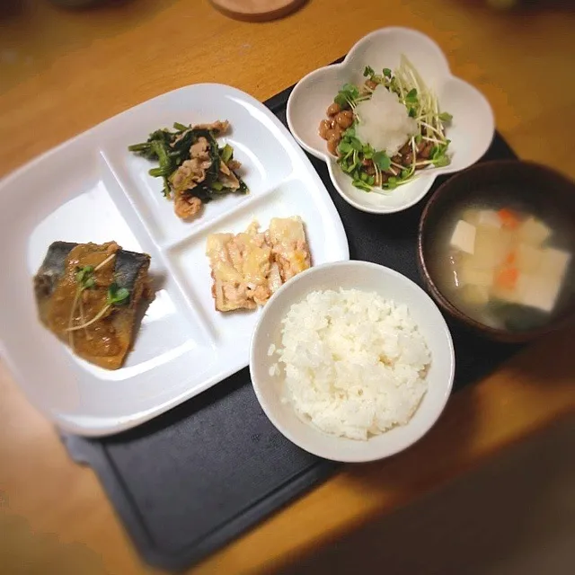 ♢さばの味噌煮、豚肉と小松菜のニンニク醤油炒め、大根おろしかいわれ納豆、ちくわツナチーズ、お味噌汁|aomikoさん