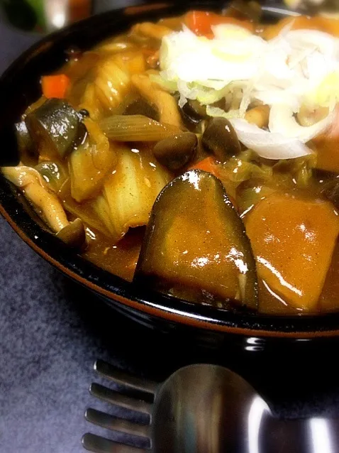 Snapdishの料理写真:#夕飯  昨日の肉鍋からの〜〜カレーうどん。野菜キノコたっぷり！|ms903さん