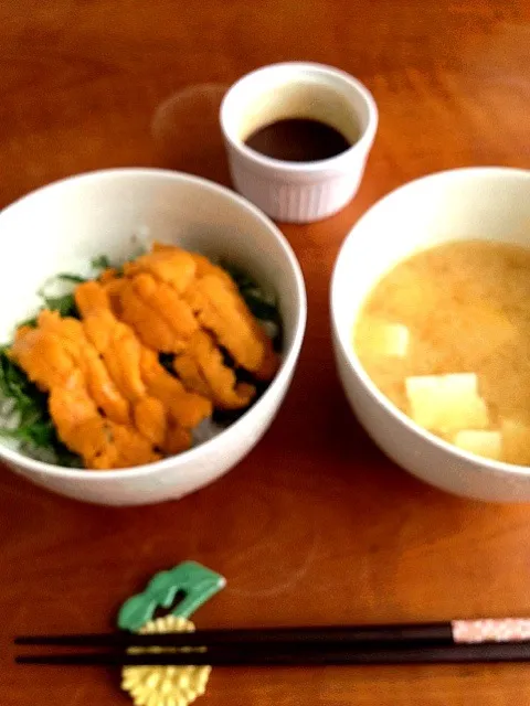 Snapdishの料理写真:ウニ丼 豆腐かぼちゃのお味噌汁|ひろみさん