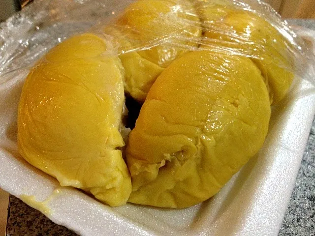 Durian (musang king)|(=^x^=)さん