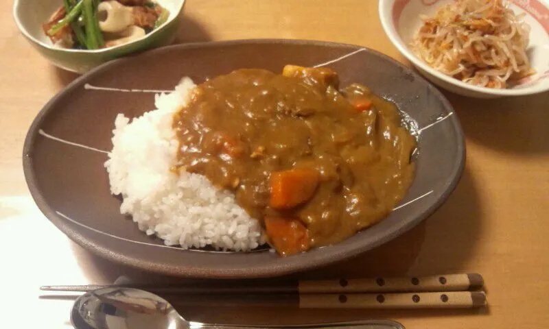 カレーライス。二日目。|ミズノ　タカコさん