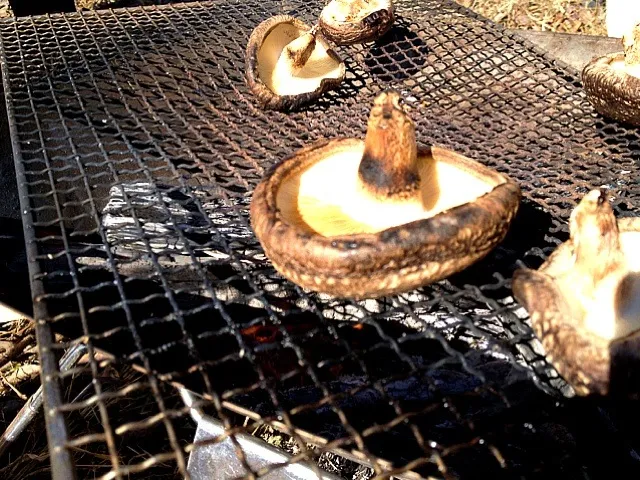 しいたけ炭火焼ワイルド|西川季宏さん