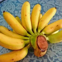 Snapdishの料理写真:🍌แบนแน่แน่🍌