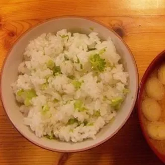 菜飯っ﹆|がっちゃん﹆さん