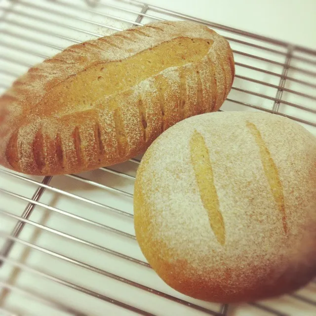 Just baked breads|Lori Kudoさん