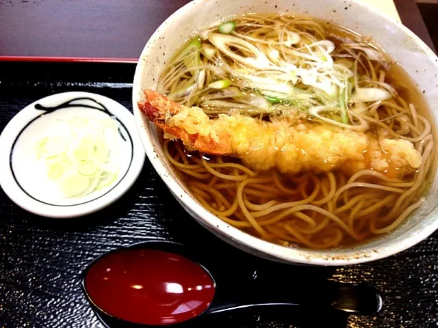 天南なう。昨日オープンしたばかりのお蕎麦屋さんに娘と2人で来てみた。|きむらゆりかさん