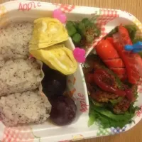 Snapdishの料理写真:小学生女子遠足弁当|みいらぶさん