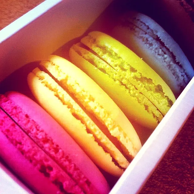 Macarons|Franklin Changさん