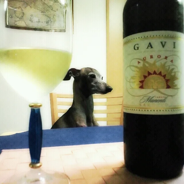 Snapdishの料理写真:GAVI|ふぃるまめんとさん