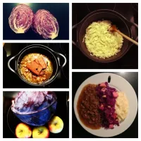 Rred cabbage with apples, mashed potatoes and wheat gluten or  seitan stew made! #Dutch #Vegan #Vegatarian|Hans de Kruijfさん