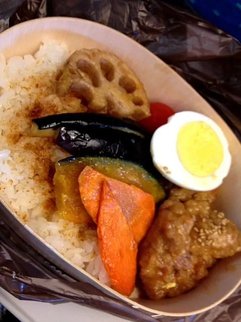 大地を守るデリの弁当890円|あいらんどさん