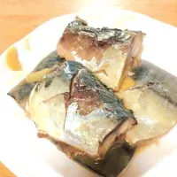 鯖の味噌煮|まあこさん