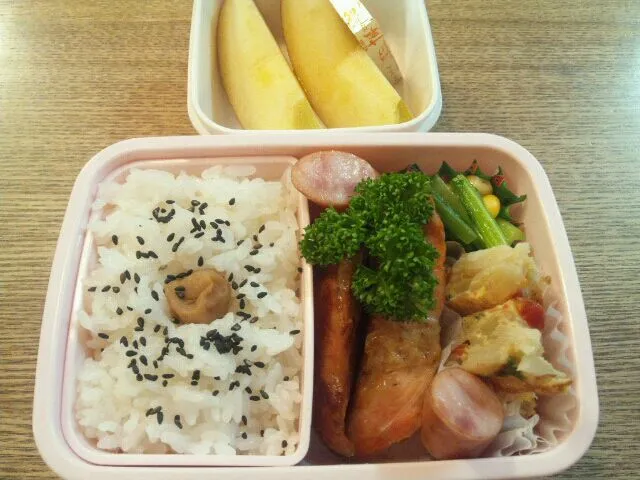 Snapdishの料理写真:11/13 お弁当|まみりんさん