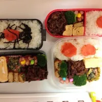 Snapdishの料理写真:普通のお弁当|新川 育美さん