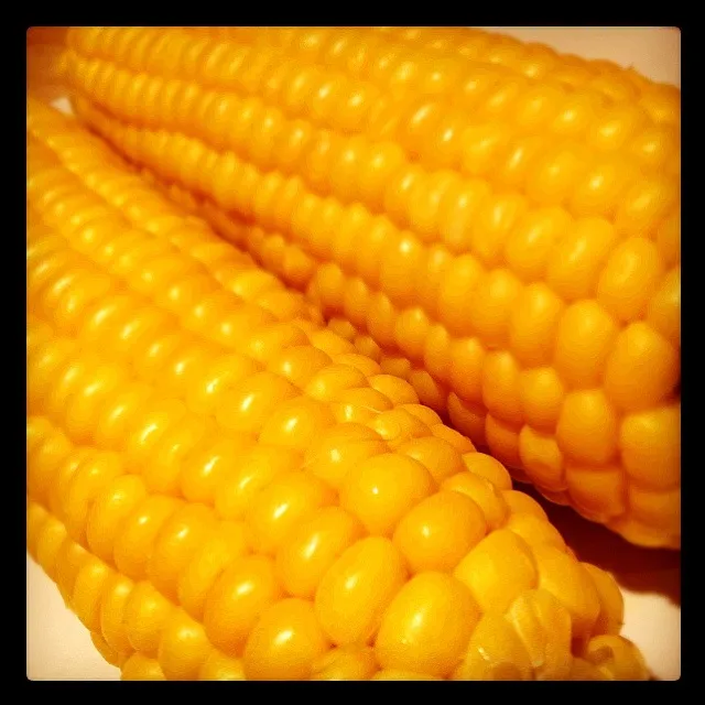 Corn 🌽🌽🌽|fadheelaさん