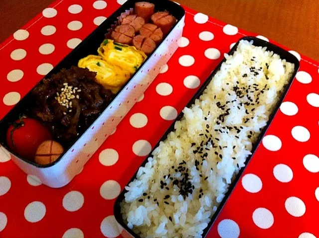 11/12お弁当 姉用|りすなさん