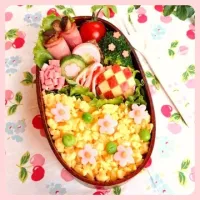 🌸娘のお弁当🌸（11/13）