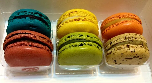 Colorful Macaron|liliさん