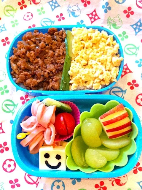 Snapdishの料理写真:幼稚園男の子弁当。そぼろご飯|eguchiさん