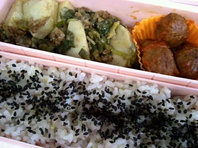 Snapdishの料理写真:お弁当|Nao Takanashiさん