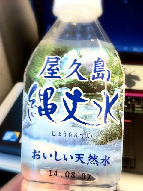 現地に行って飲むことを思えば格安な気分。朝から身体が清まる感じかな。|土屋幸治さん