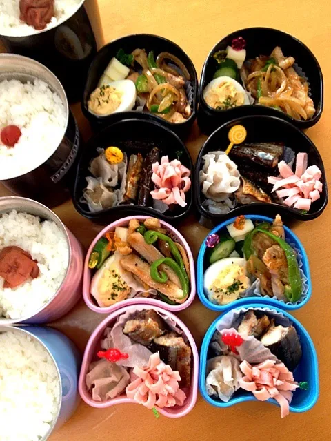 みんな弁当😊ポーク味噌漬けとピーマンのソテー・秋刀魚のスパイシー焼き・シュウマイ・ハム・茹で卵の黄身マヨ和え・チーズ＆胡瓜|chyawaさん