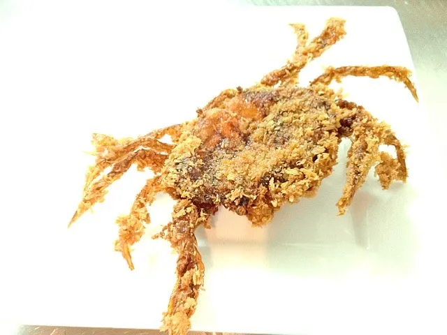 deep fried soft shell crab|willzさん