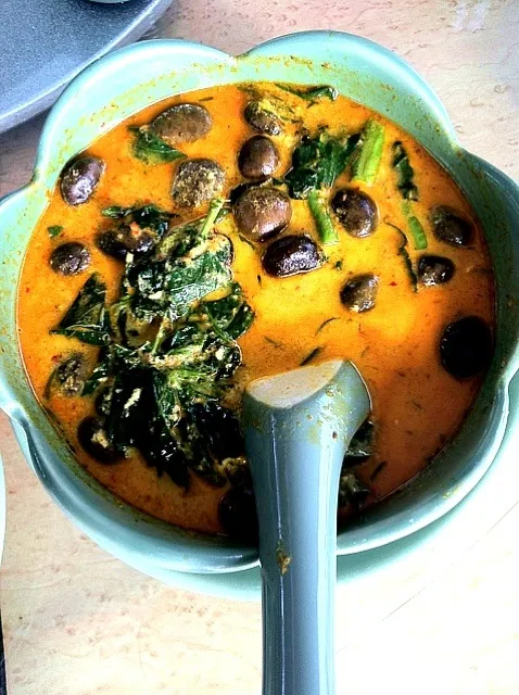 hot Thai curry with mushroom|kittimawadeeさん