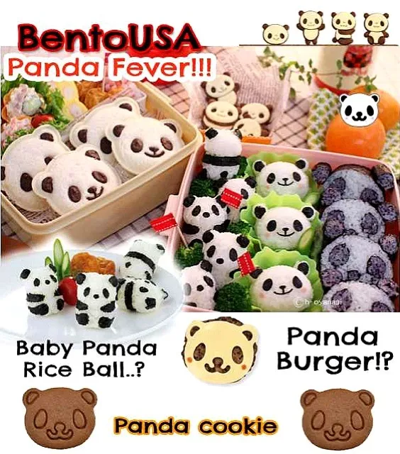 Panda bento lunch|bentoUSA.comさん