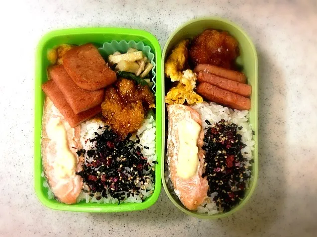 今日弁当|しゅうさん