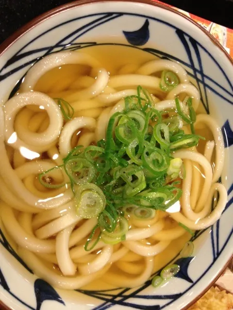 丸亀製麺のぶっかけうどん|みゅうさん