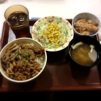 Gyudon, Chicken, Salad, Miso, Tea|assshさん