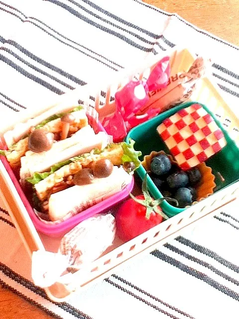 今日はサンドウィッチ弁当☆|udomegu☆さん