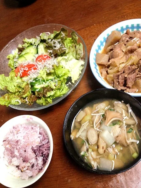 Snapdishの料理写真:牛筋煮込み 根菜と茸の味噌汁 じゃこ入りサラダ|掛谷節子さん