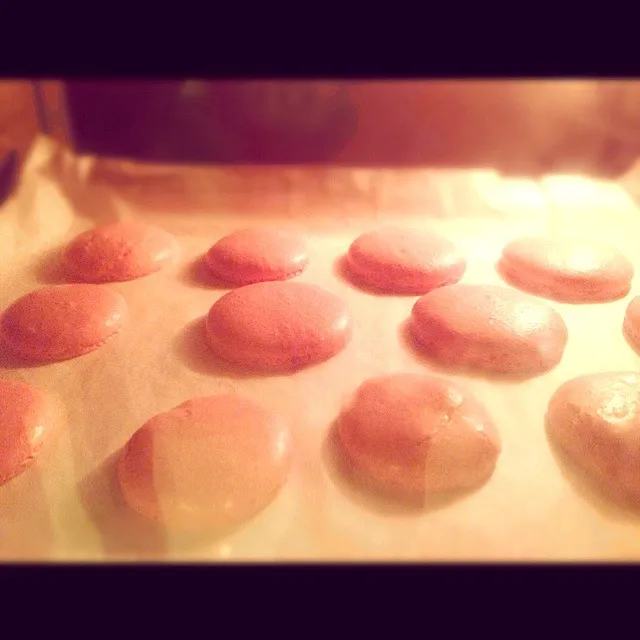 These look like heaven <3 . HOMEMADE MACAROONS !|Tay Jia Yiさん