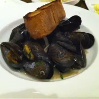 Mussel obsession|kate tannuraさん