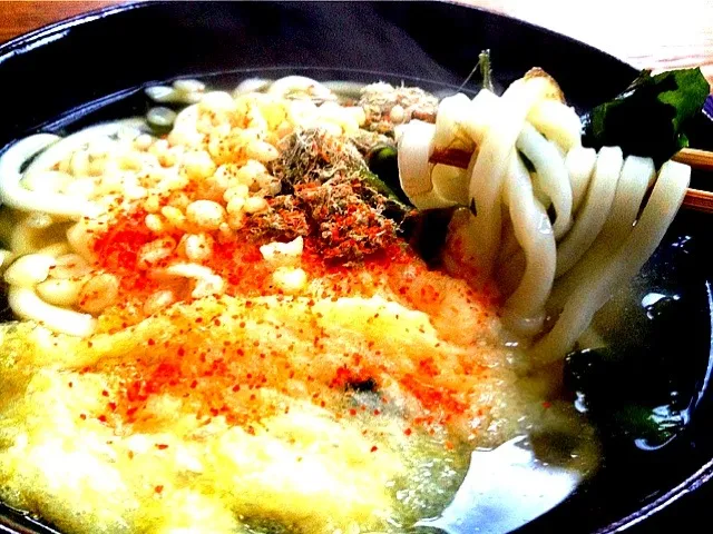 Snapdishの料理写真:きつねうどん🍜|koji toyodaさん