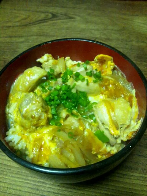 おやこ丼|おきおさん