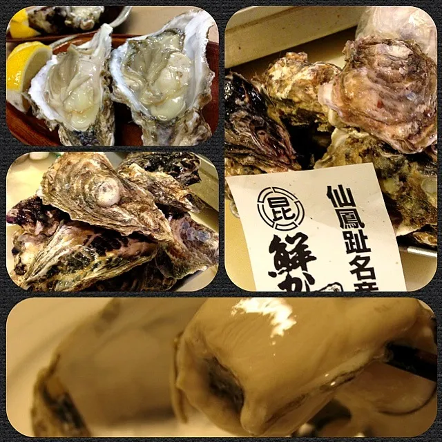 Snapdishの料理写真:北海道 昆布森産 真牡蠣（まがき）|金子 雄介さん