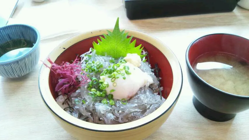 生しらす丼|みきさん