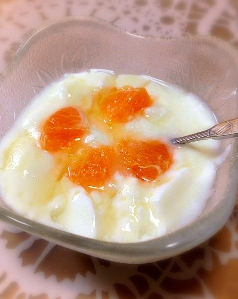 ホットヨーグルト で身も胃も心も癒しませんか Snapdish スナップディッシュ